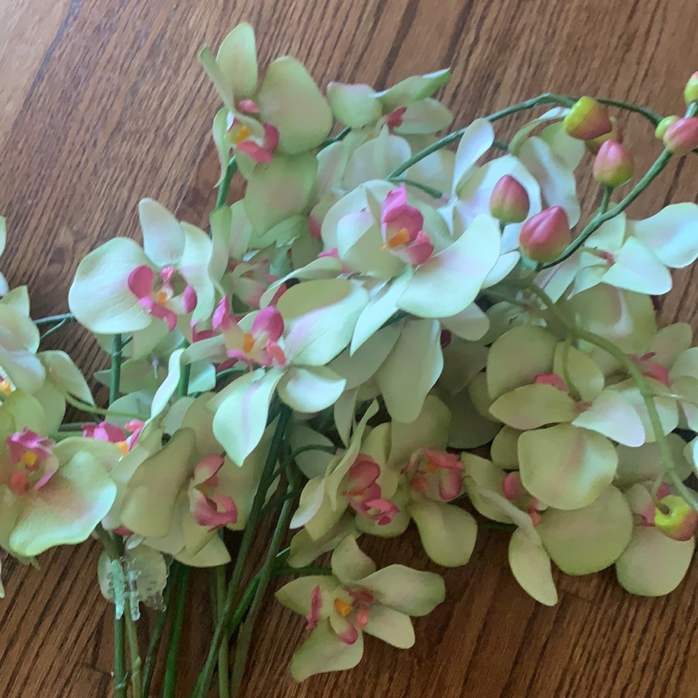 Beautiful faux stems of orchids
